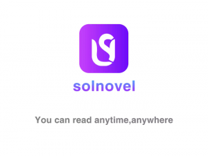 Solnovel review